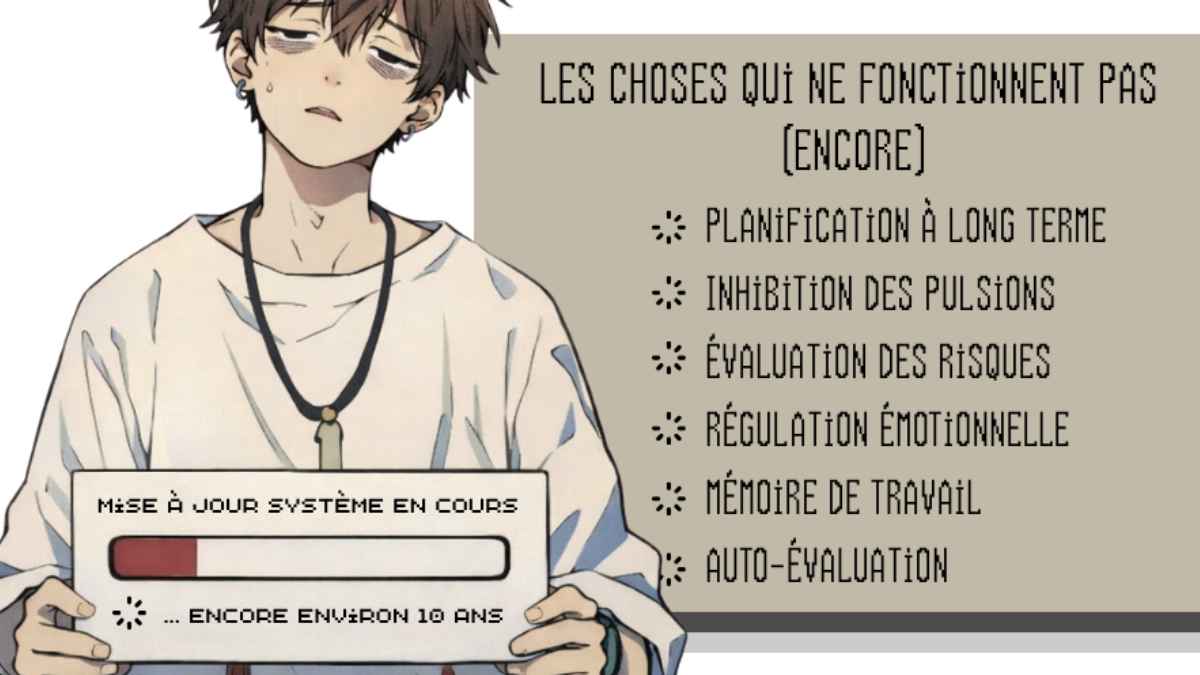 L'adolescence n'est pas la même pour tous — neurobiologie, hormones et comportement