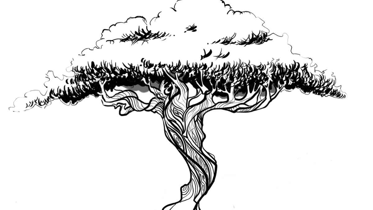 Les douze branches — ce que la MTC occidentale ne t'enseigne pas